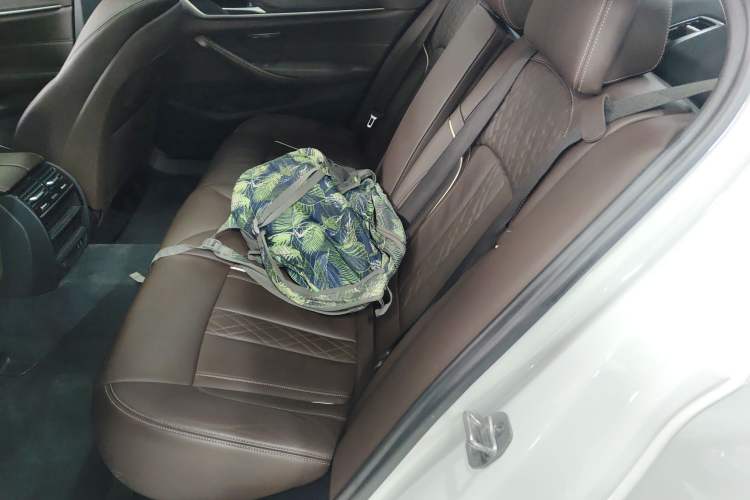 Used BMW 5 Series New Energy 2020 Mileage Upgrade Version 530Le Luxury Package
