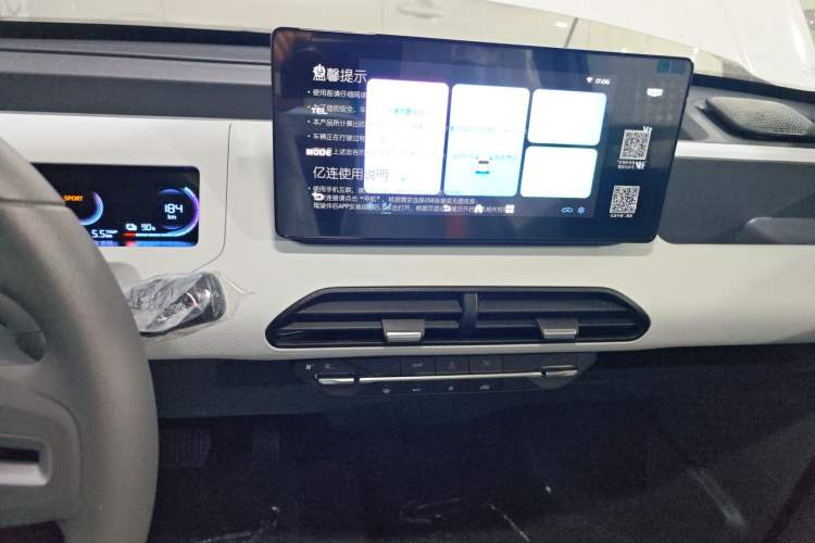 Used  Panda 2024 Panda Mini 200km Endurance Bear
