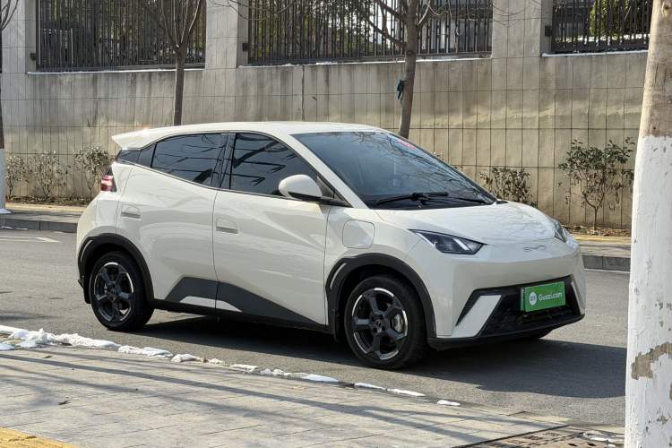 Used BYD Seagull 2023 Free Edition