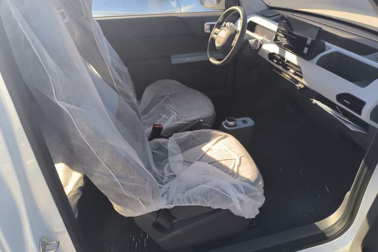 Used  Panda 2024 Panda Mini 200km Endurance Bear
