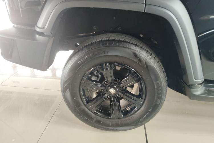 Used Tank 300 2024 2.0T Conqueror
