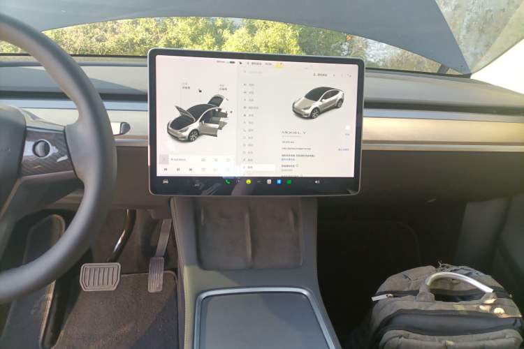 Used Tesla Model Y 2021 Standard Range Rear-Wheel Drive Version
