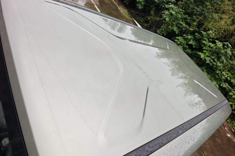 Used  V23 2025 501 Four-Wheel Drive Intelligent Driving Version
