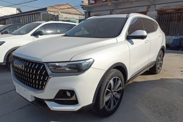 Used Haval H6 2023 National Trend Edition 1.5T Automatic Champion Version