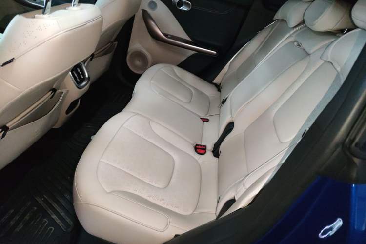 Used  #1 2022 Pulse Heartbeat Edition
