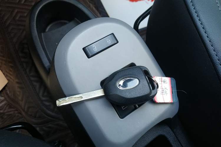 Used ORA Black Cat 2019 351 km Family Edition