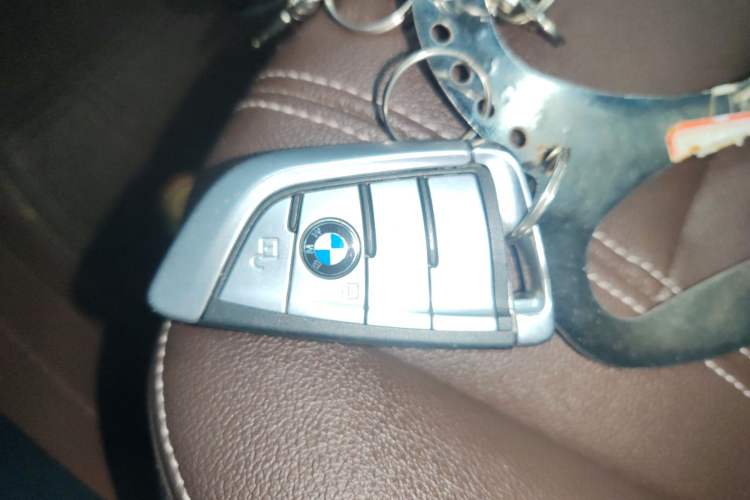 Used BMW 5 Series 2020 525Li Luxury Package
