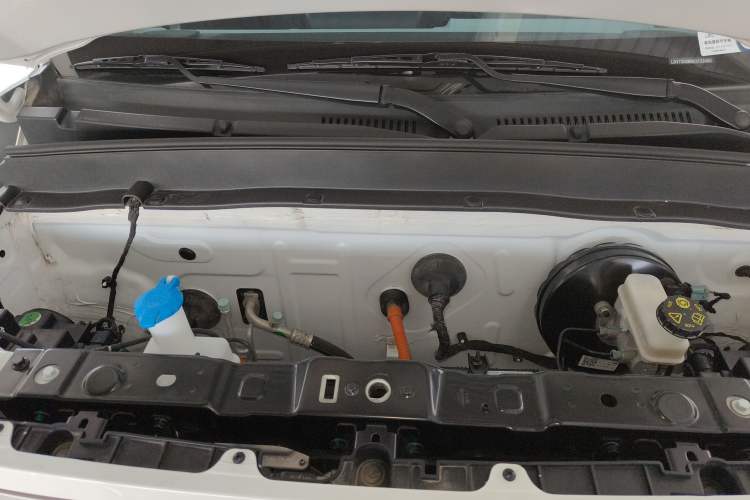 Used  Panda 2023 Panda Mini 200km Endurance Bear
