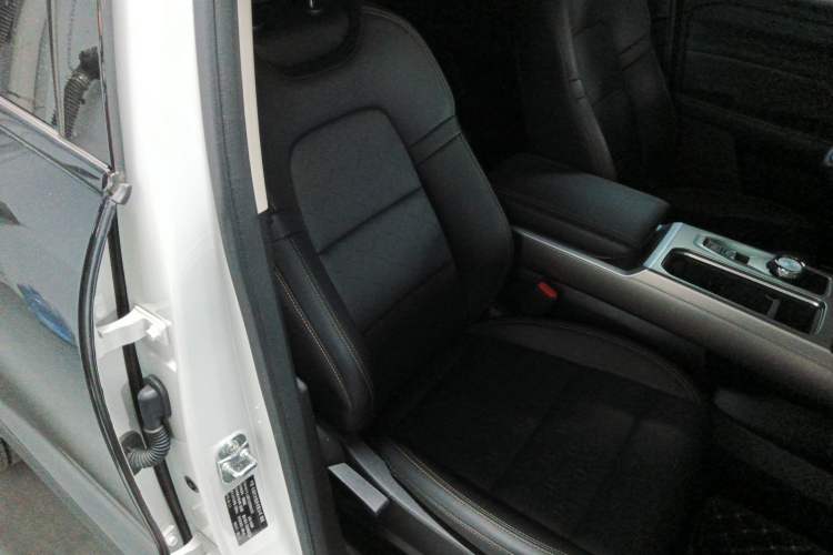 Used Haval DARGO 2024 2.0T DCT Chinese Rural Dog Edition
