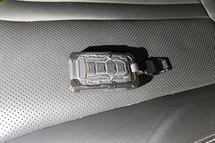 Used Tank 300 2023 2.0T Iron Rider 02