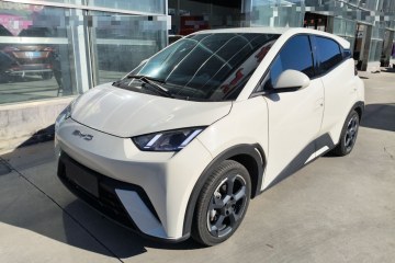 Used BYD Seagull 2023 Flying Edition