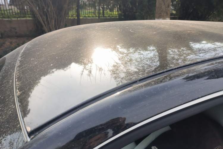 Used  Geome 2025 310km Dream Edition