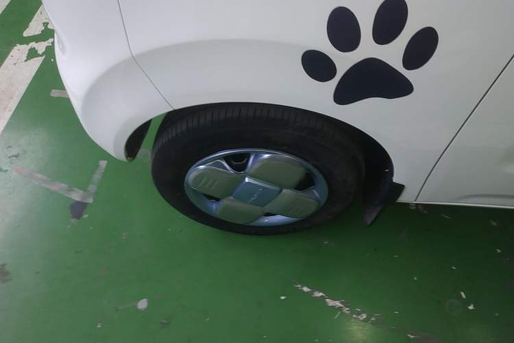 Used  Panda 2023 Panda Mini 200km Endurance Bear
