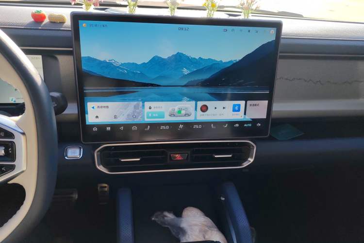 Used JETOUR Shanhai Shanhai T2 2024 C-DM 208KM Mountain & Wilderness Edition
