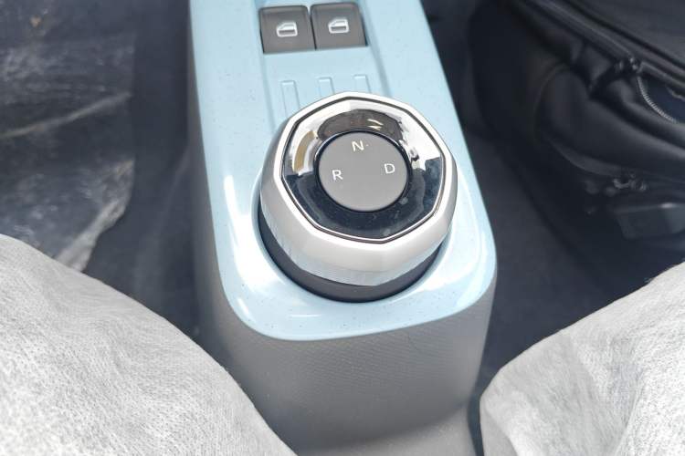 Used  Panda 2024 Panda Mini 200km Endurance Bear
