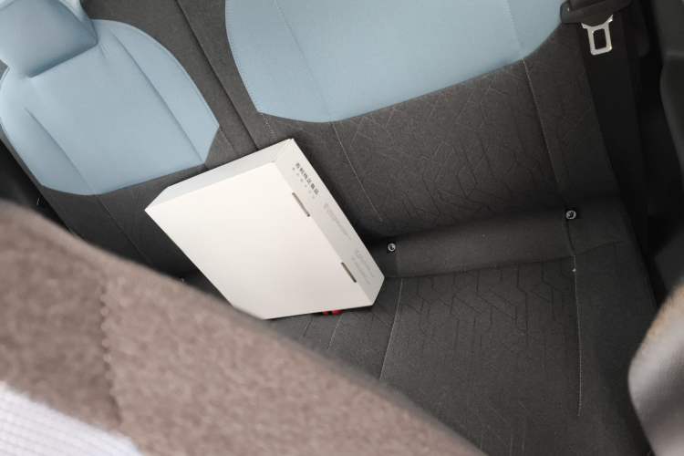 Used  Panda 2023 Panda Mini 120km Cute Bear
