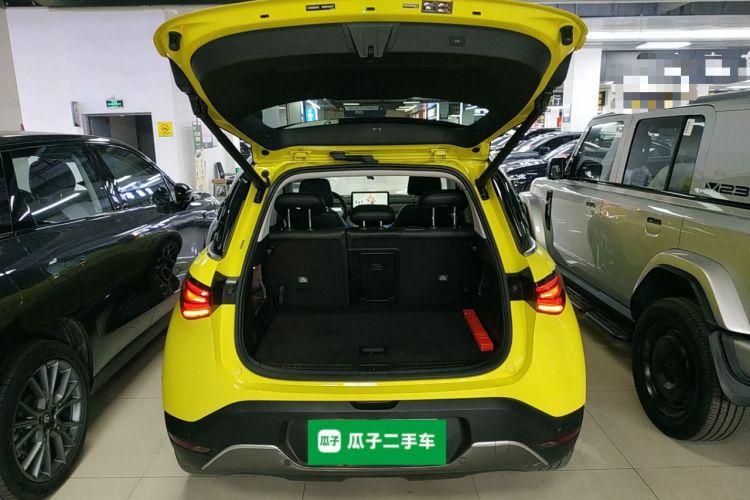 Used  #1 2022 Pulse Heartbeat Edition
