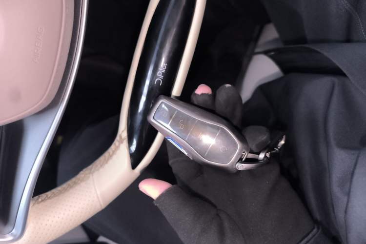 Used BYD Tang New Energy 2024 DM-i Glory Edition 112KM Prestige Model