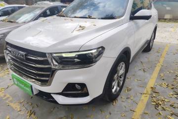Used Haval H6 2021 National Trend Edition 1.5T Automatic Champion Version