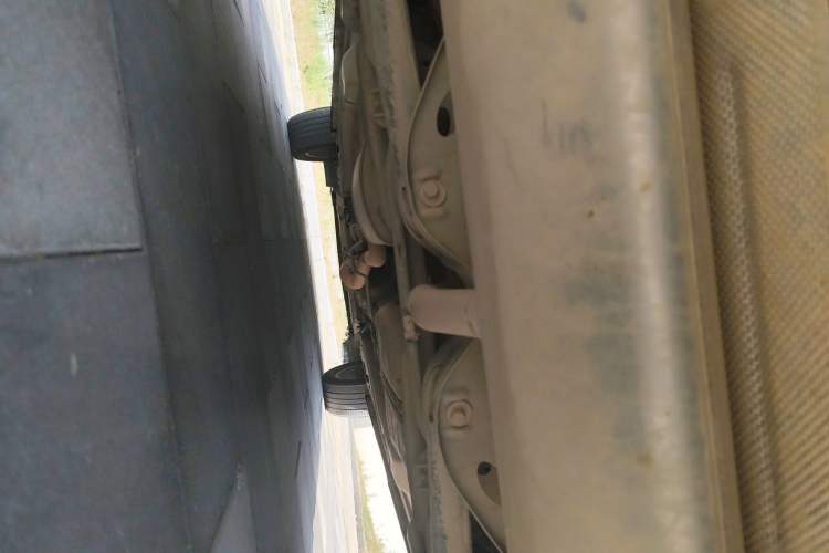 Used  Lingyun 2021 290T Two-Wheel Drive Starry Edition
