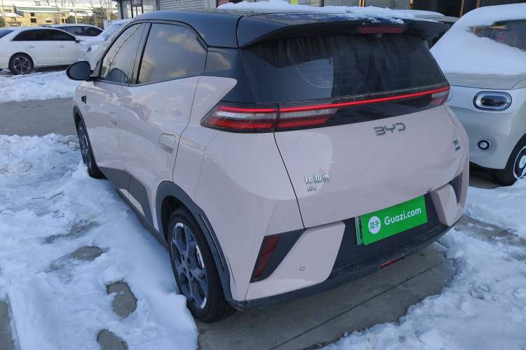 Used BYD Seagull 2025 Smart Drive Version 305 km Freedom Edition
