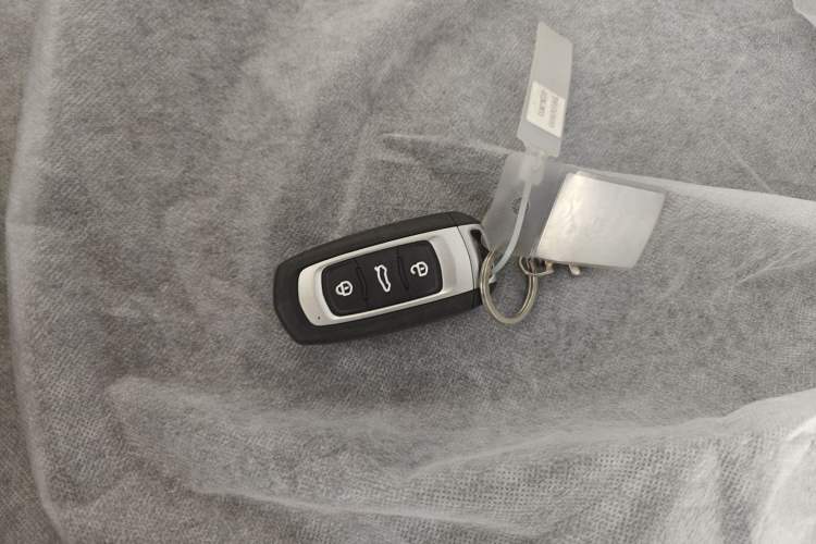 Used  Panda 2024 Panda Mini 200km Endurance Bear