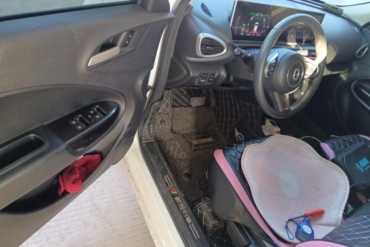 Used ORA White Cat 2020 360 km Luxury Version
