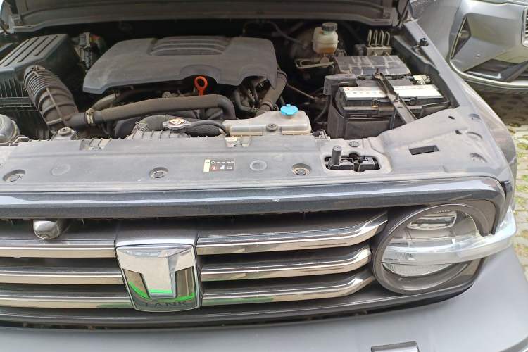 Used Tank 300 2021 City Edition 2.0T—Truly Stylish