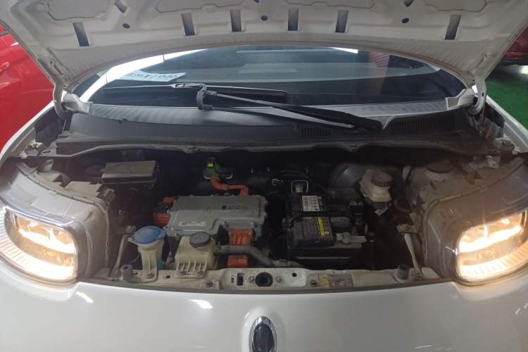 Used ORA White Cat 2020 305 km Luxury Version
