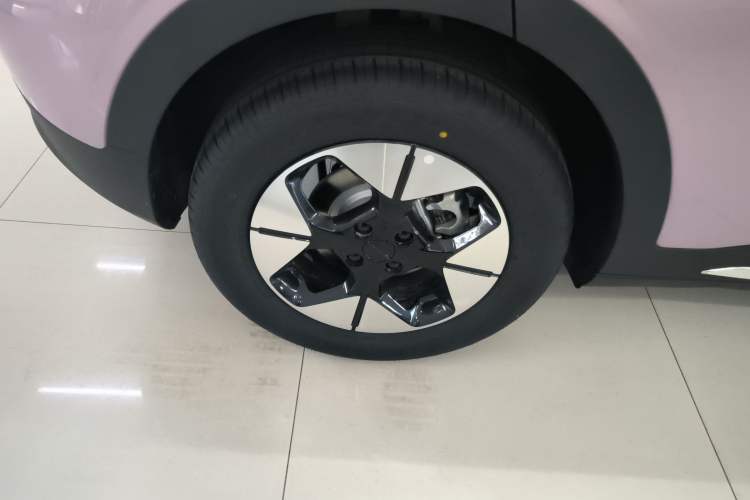 Used  Geome 2025 310km Dream Edition
