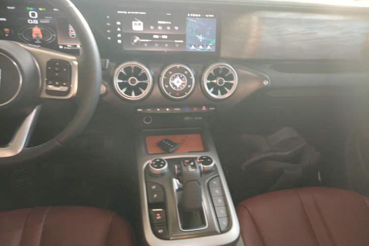 Used Tank 300 2024 2.0T Conqueror