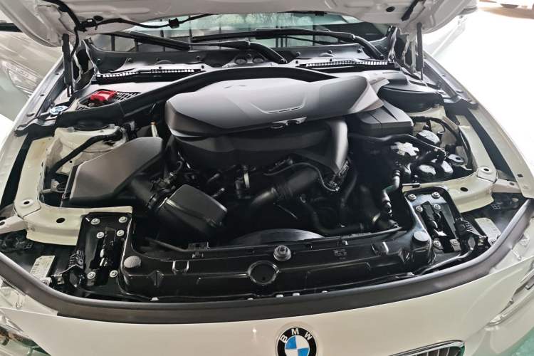 Used BMW 3 Series 2019 320Li Fashion Model
