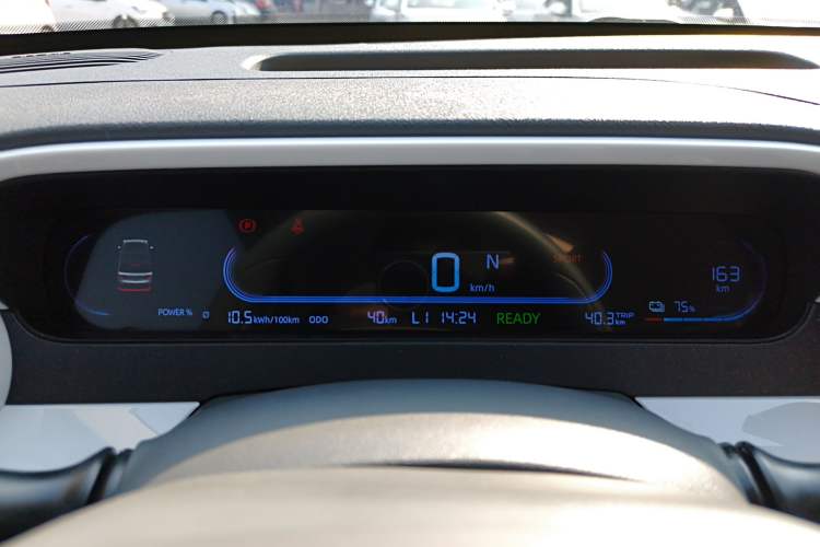 Used  Panda 2025 210 km – Yuanqi Bear
