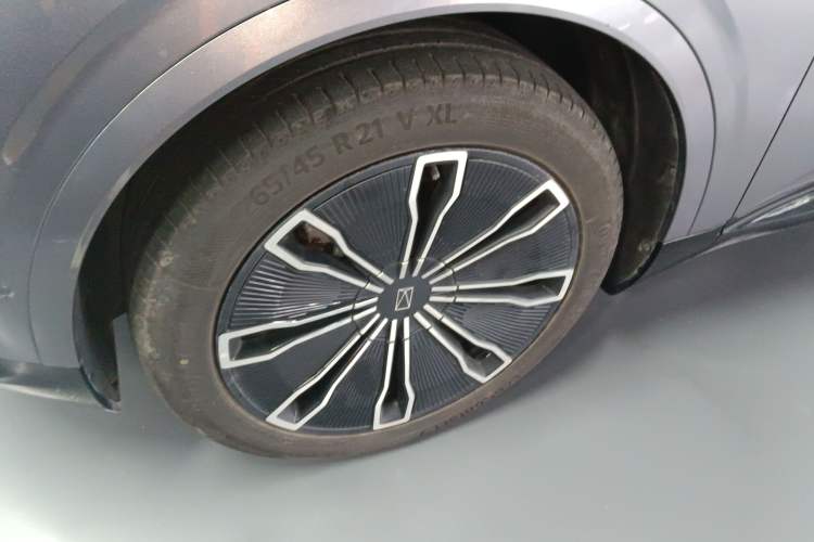 Used  07 2024 Max Extended-Range Edition
