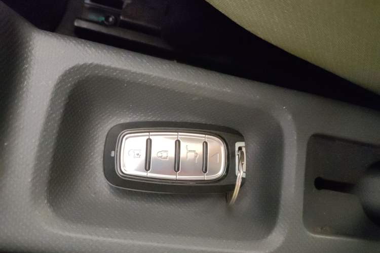 Used  Panda 2023 Panda Mini 200km Endurance Bear
