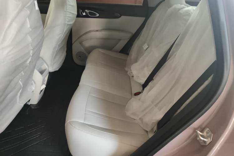 Used  Geome 2025 310km Youth Edition
