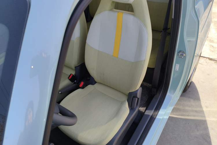 Used  Panda 2024 Panda Mini 200km Endurance Bear
