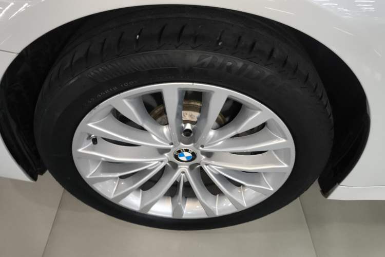 Used BMW 5 Series New Energy 2020 530Le Pioneer Edition