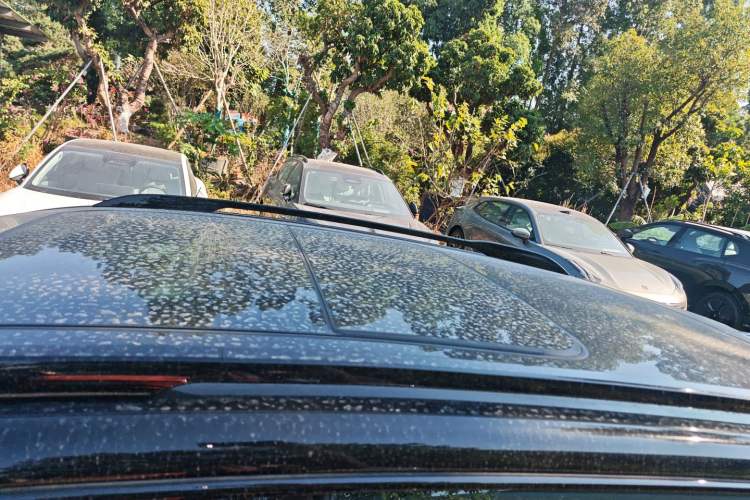 Used VOYAH COURAGE 2024 Four-Wheel Drive Global Edition
