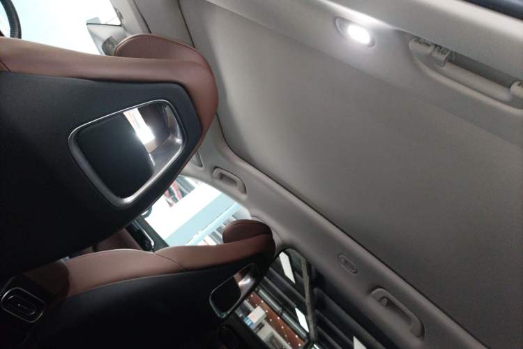 Used Leapmotor C11 2023 Pure Electric 500 Comfort Edition
