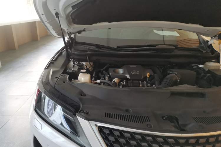 Used Lexus RX 2020 300 Two-Wheel Drive Elite Edition China VI Standard