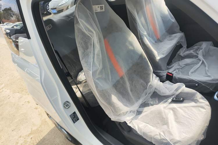 Used  Panda 2024 Panda Mini 200km Endurance Bear
