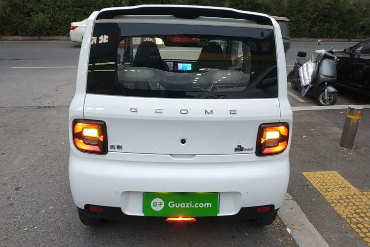 Used  Panda 2025 210 km – Yuanqi Bear
