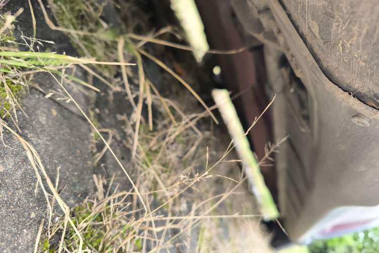 Used Suzuki Swift 2016 1.5L Automatic Fashionable Coolplay Edition
