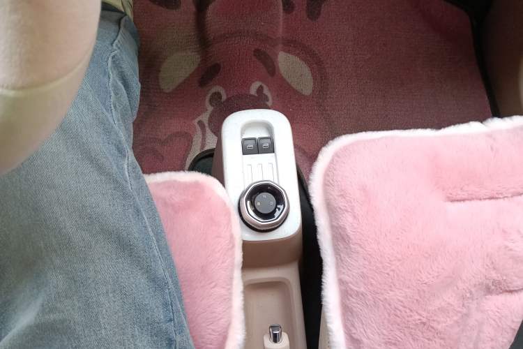 Used  Panda 2023 Panda Mini 200km Endurance Bear
