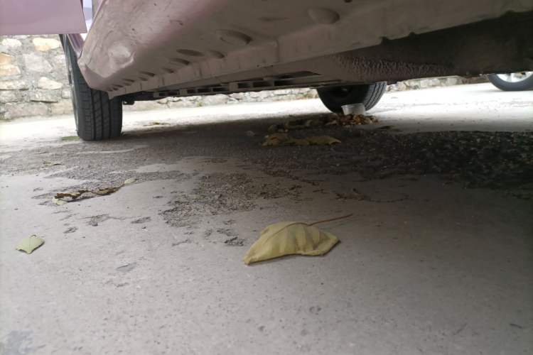 Used SOL E10X 2022 Flower Fairy Design Four-Leaf Clover
