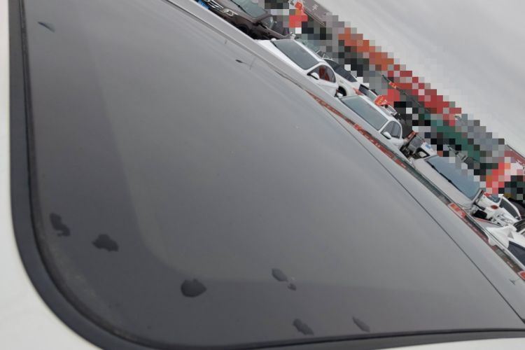 Used Haval H6 2021 National Trend Edition 1.5T Automatic Champion Version
