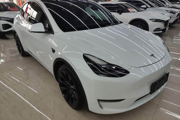 Used Tesla Model Y 2021 Standard Range Rear-Wheel Drive Version
