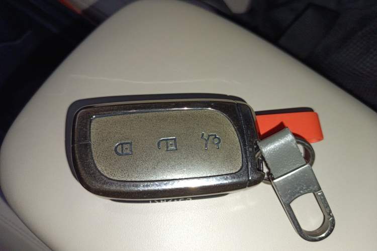 Used Lynk & Co Z20 2025 530 km Range Rear-Wheel Drive Max