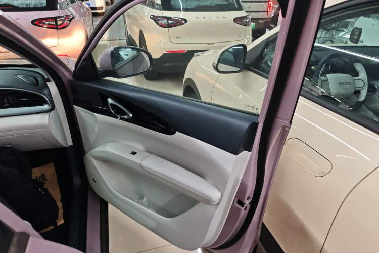 Used  Geome 2025 310km Youth Edition
